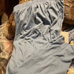 NWT sz 2X light blue stretch pants cabin creek